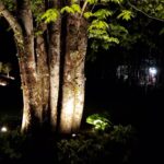 landscape lighting