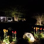 landscape lighting