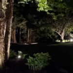 landscape lighting