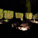 landscape lighting
