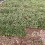 yard 1