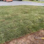 yard 1