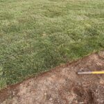 yard 1