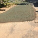 hydroseed