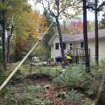 tree trimming