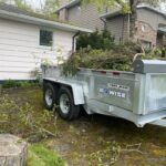 tree trimming