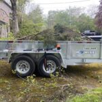 tree trimming