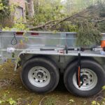 tree trimming