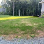 yard 2