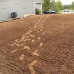 yard 2