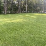 yard 1