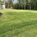 yard 1