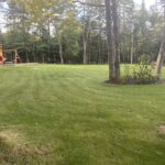 yard 1