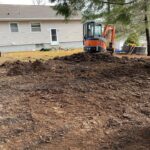entire backyard