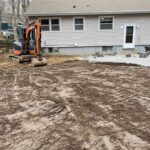entire backyard
