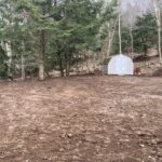 entire backyard
