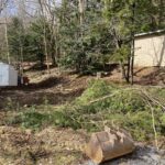 entire backyard