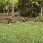entire backyard