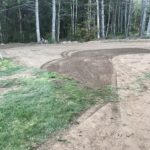 entire backyard