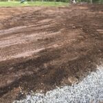 entire backyard