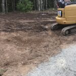entire backyard